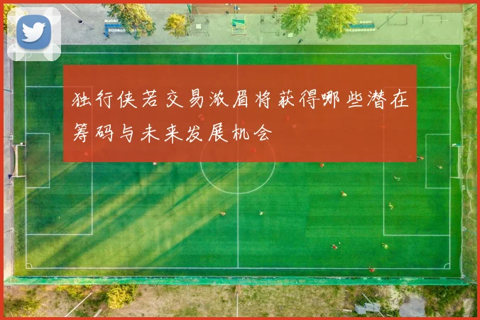 独行侠若交易浓眉将获得哪些潜在筹码与未来发展机会