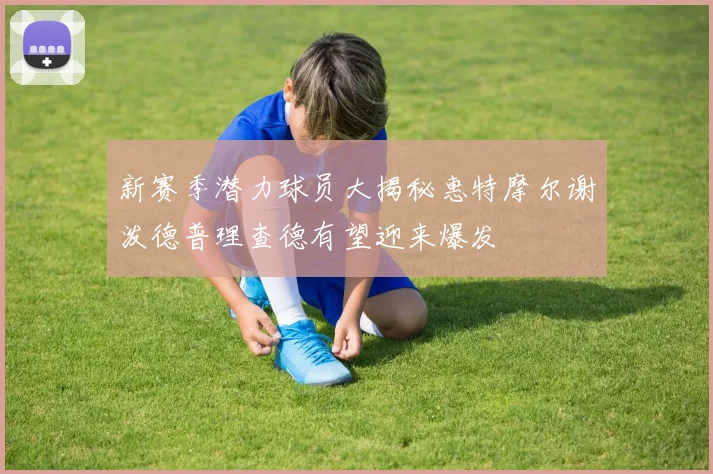 新赛季潜力球员大揭秘惠特摩尔谢泼德普理查德有望迎来爆发