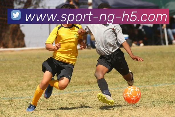 南宫体育平台生态图